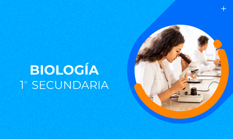 Fundación Carlos Slim - Resultados de búsqueda