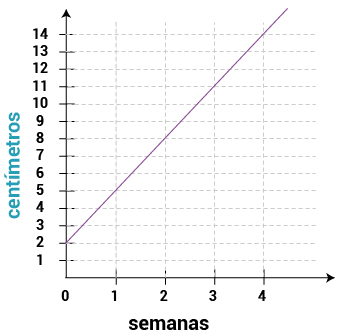 Pregunta