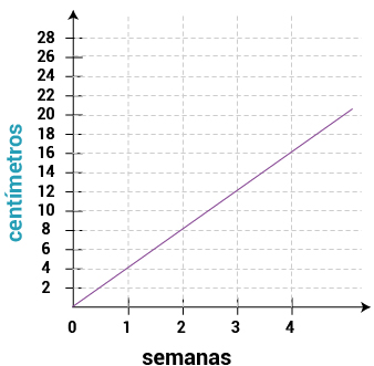 Pregunta