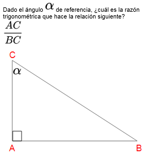Pregunta