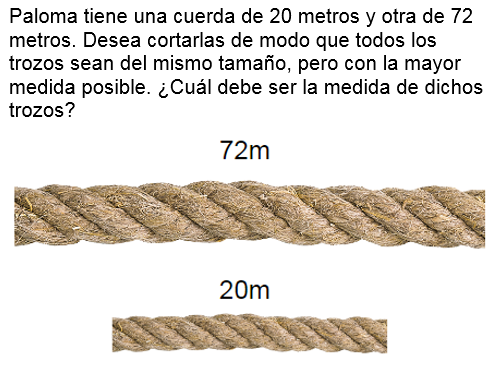 Pregunta