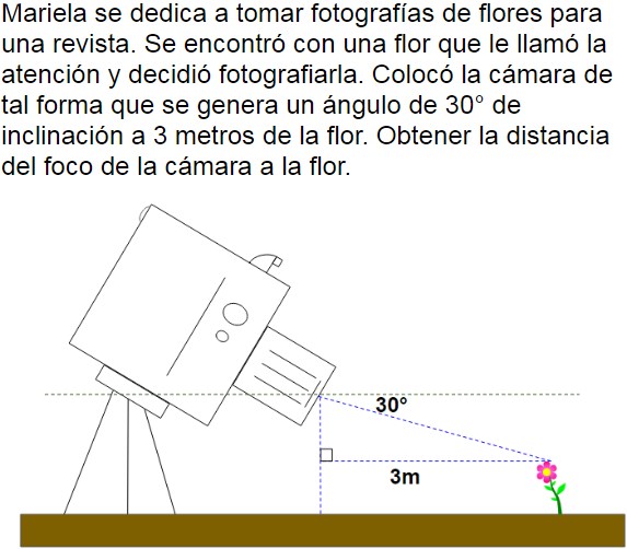 Pregunta