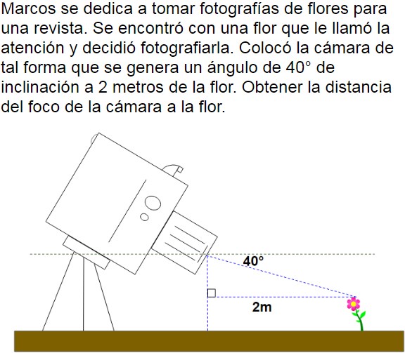 Pregunta