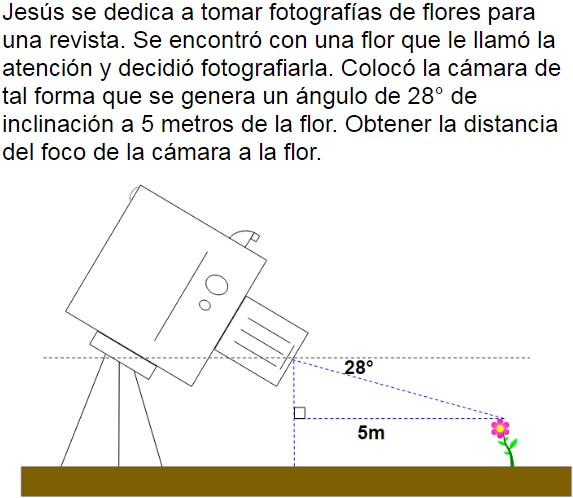 Pregunta