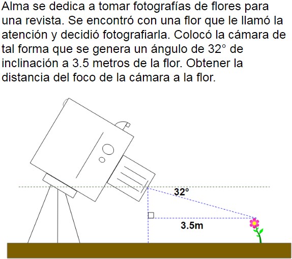 Pregunta