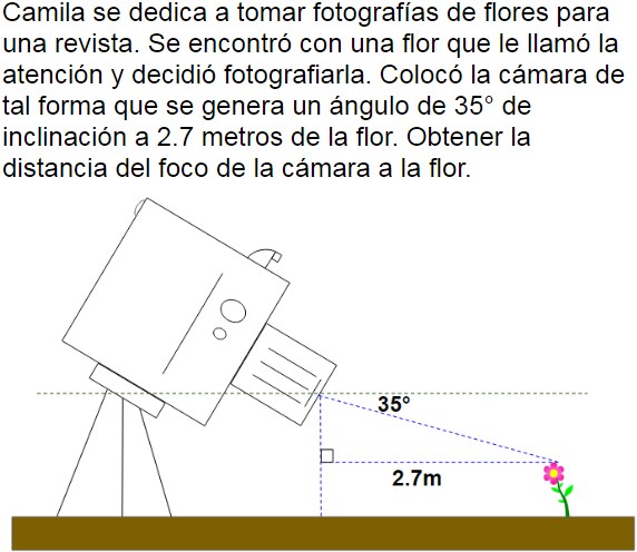 Pregunta
