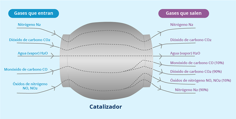 Fundación_Carlos_Slim-El catalizador