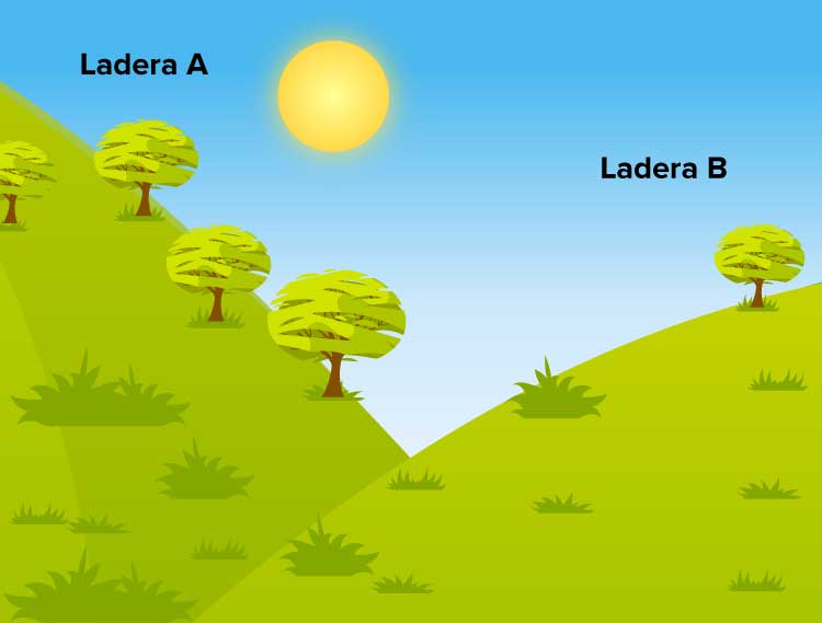 Fundación_Carlos_Slim-Investigación sobre laderas
