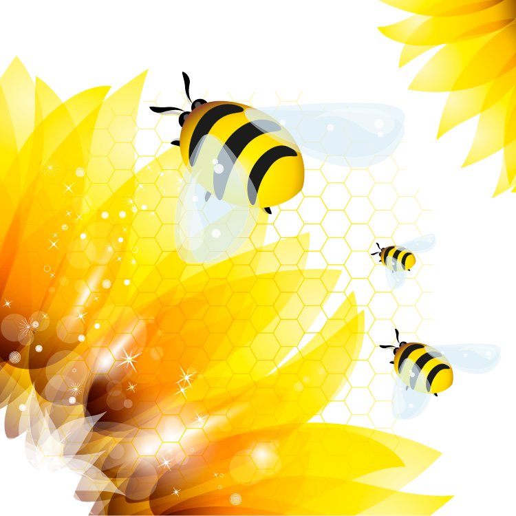 Síndrome de despoblamiento de colmenas - abeja